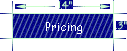 Pricing